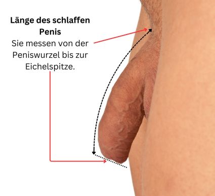 Die Länge des schlaffen Penis wird vom Schambereich bis zur Penisspitze gemessen.