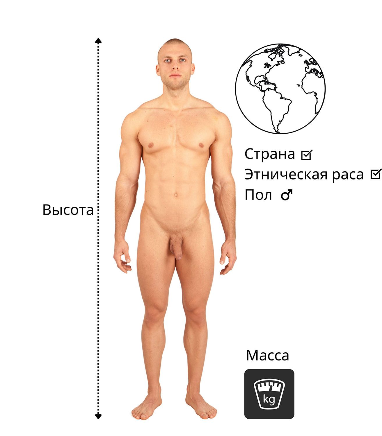 Обнаженный мужчина измеряет свой рост, вес и этническое происхождение.