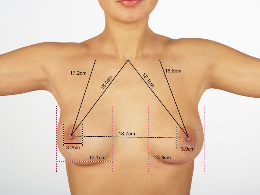 胸の測定値と胸のサイズを持つ女性。