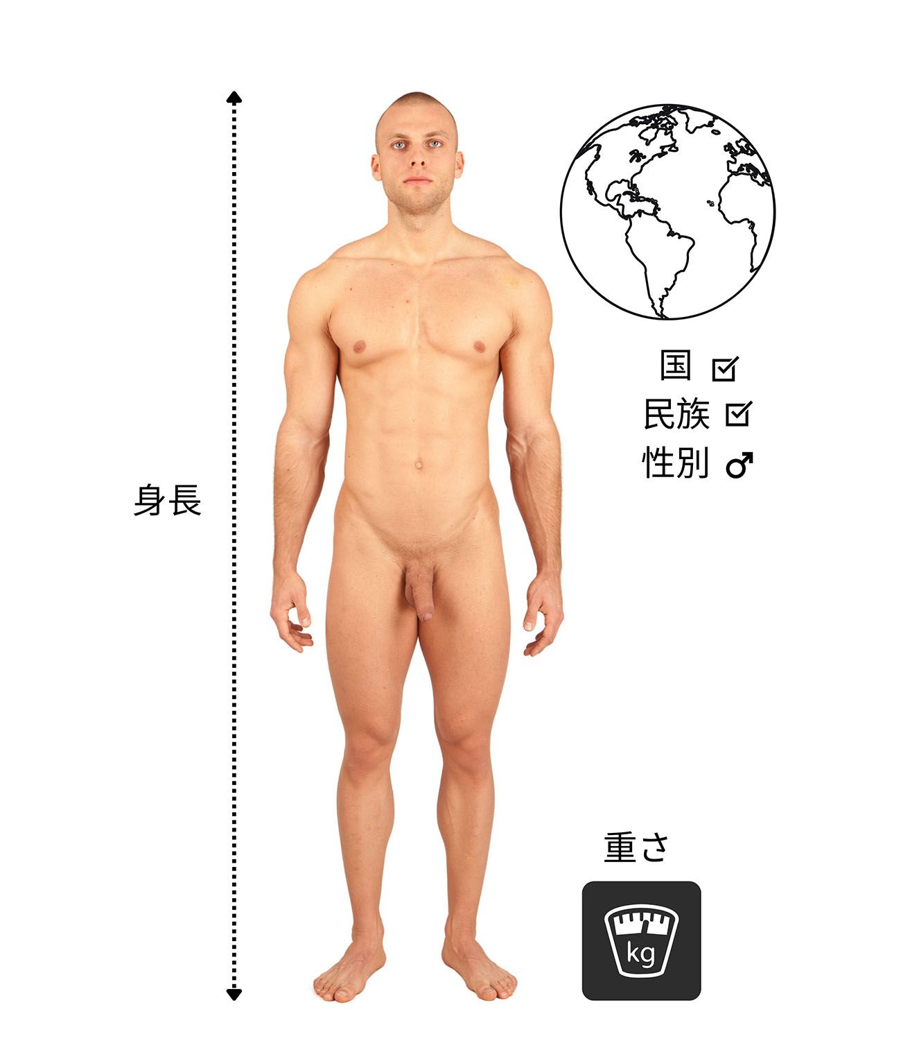 身長、体重、民族的背景を測定する裸の男性。